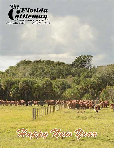 Front Page Florida Cattleman